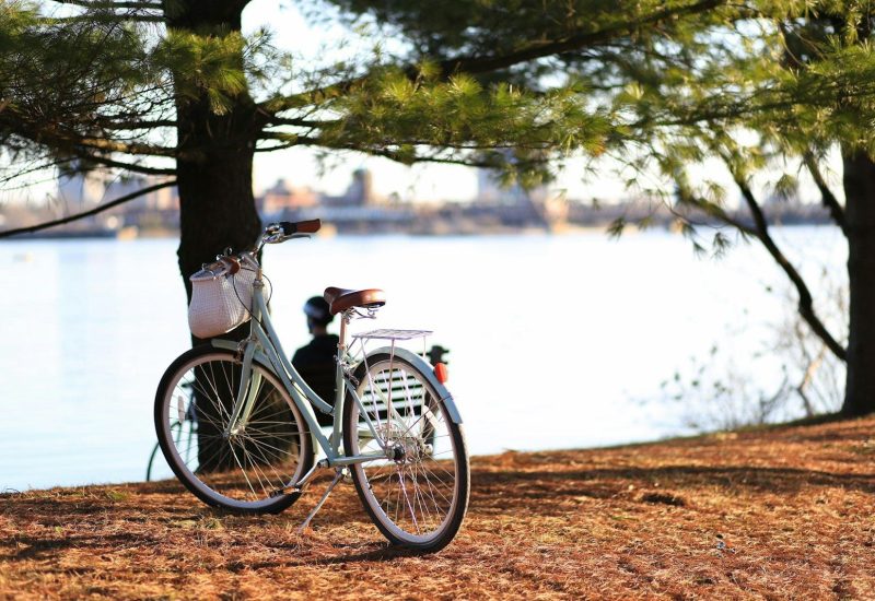 Photo by Alesia Kazantceva bicycle near tree